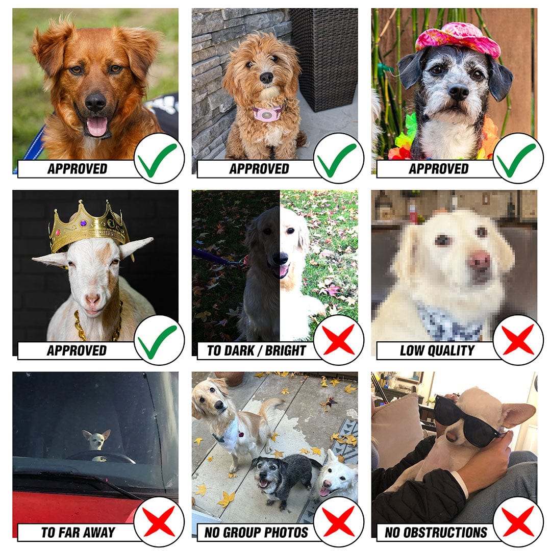 The Ultimate Pet Portrait Custom Necklace - Image 5