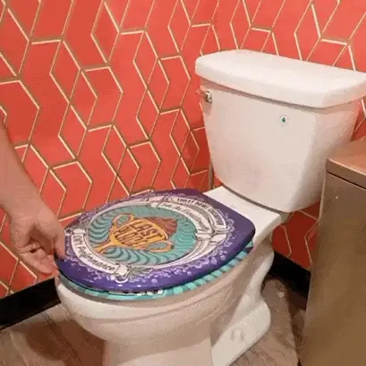 Toilet Seat Loser Award - Image 3